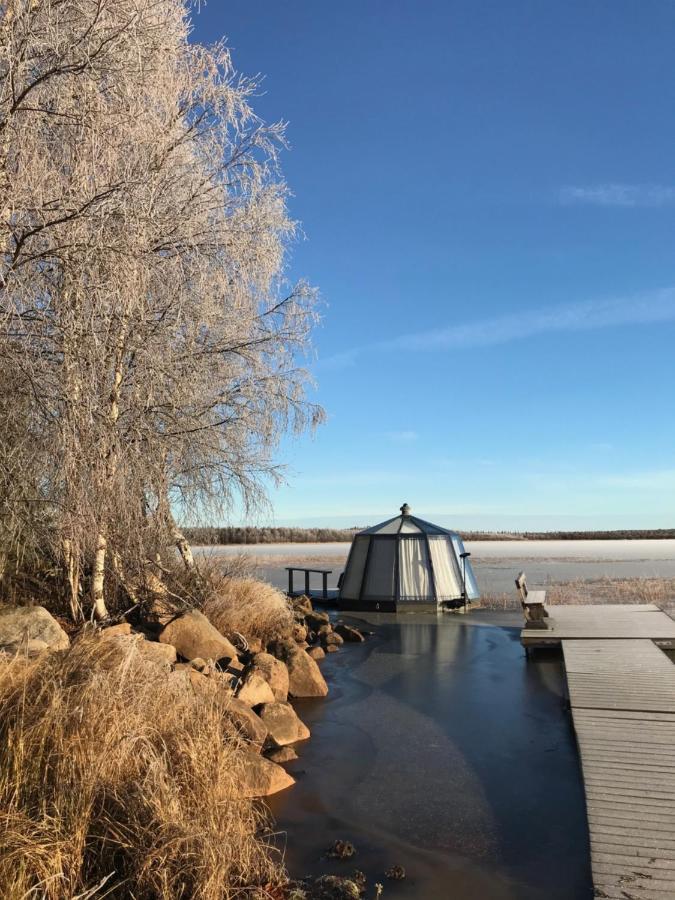 Vikajaervi Lake View Experience Igloos 罗瓦涅米 外观 照片