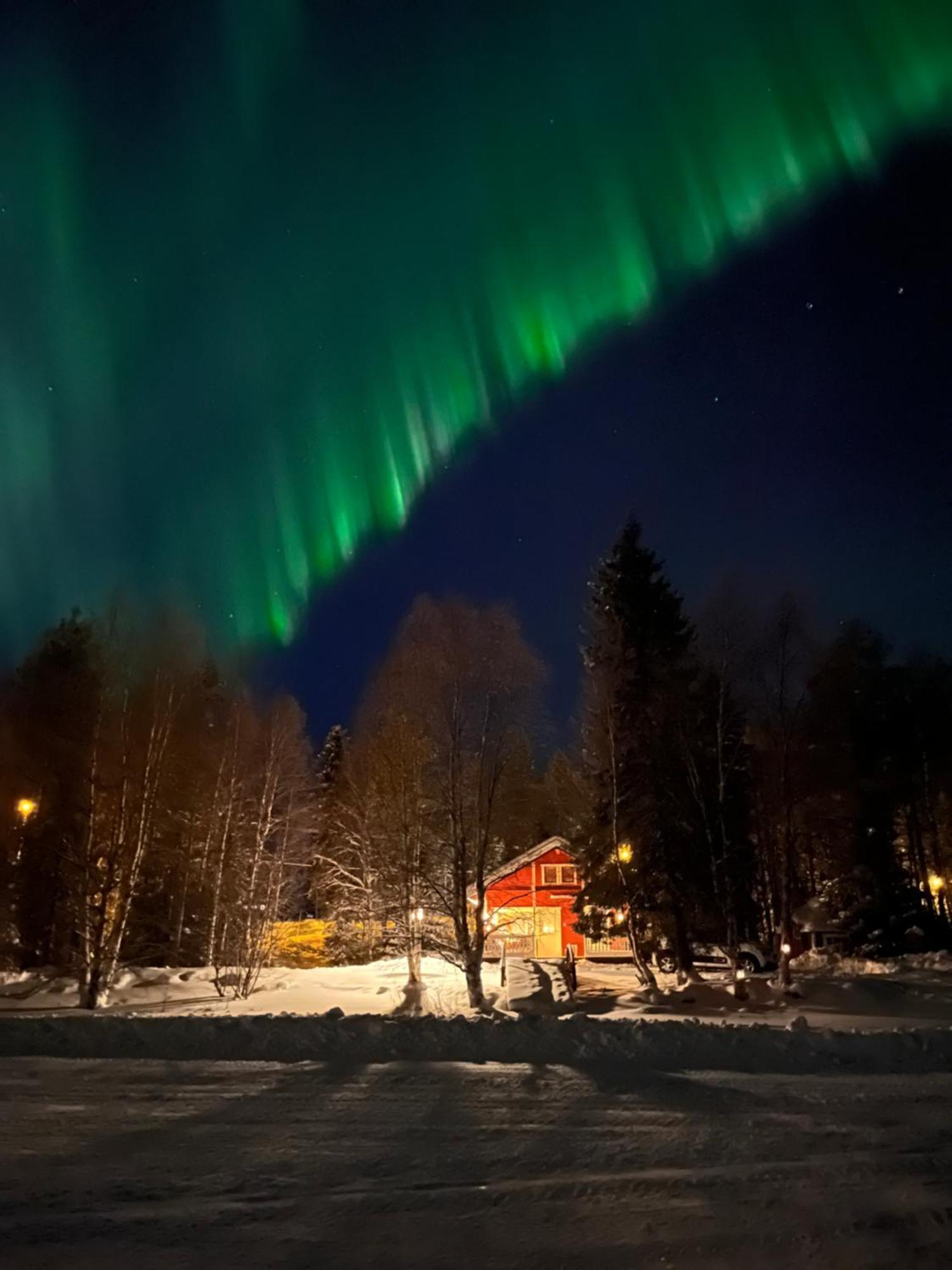 Vikajaervi Lake View Experience Igloos 罗瓦涅米 外观 照片